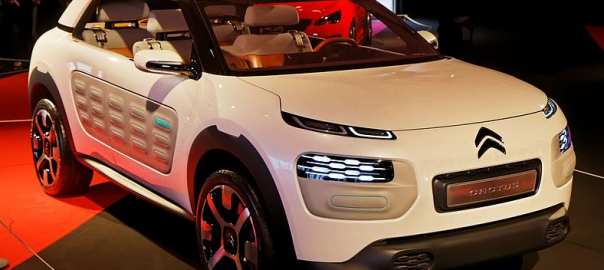 c4 cactus